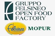 Logo FELSINEO
